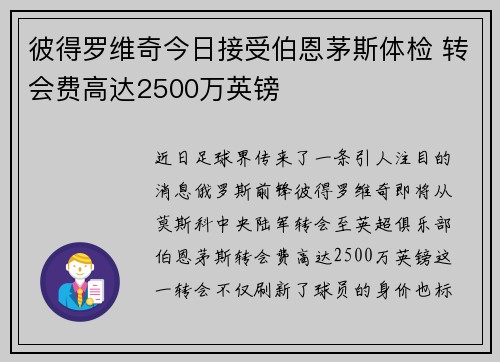 彼得罗维奇今日接受伯恩茅斯体检 转会费高达2500万英镑