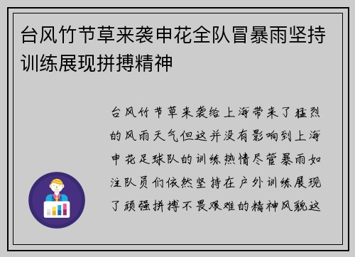 台风竹节草来袭申花全队冒暴雨坚持训练展现拼搏精神